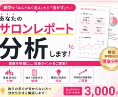 サロンレポートを分析します イメージ1