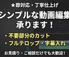 簡単な動画編集（カット、テロップ入れ）お受けします イメージ1