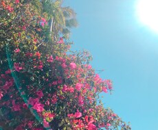 大自然の写真販売しています イメージ1