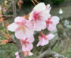 だれかに話したいとき聞きます イメージ1