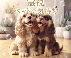 ペットちゃんの言葉にならない気持ちを霊視します オプションでヒーリングし整えます。