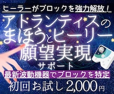初回限定★ヒーリー分析調整＆ブロック解除します ドイツの最新波動機器×古代の叡智！願望実現への霧を晴らします