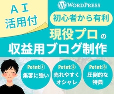 収益化に強いWordPressブログを作ります イメージ1