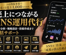 SNS運用代行｜3SNS運用します イメージ1