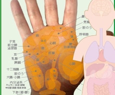 資質、適性、運勢傾向の【手相分析チャート】作ります 性格は？、適職は？、金運は？、注意する病気は？、運勢傾向は？