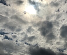 あなたを全肯定します イメージ1
