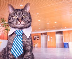 借金で苦しんでる方、私が力になります イメージ1