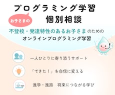 お子さまのプログラミング学習の相談にのります 【不登校・発達特性のある小中高生のための】オンライン