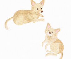 ペットのイラストを描きます イメージ1