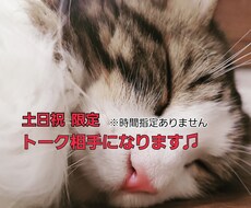 土日祝限定　まる一日、トーク相手になります イメージ1
