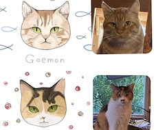 ねこちゃんの似顔絵作成します おうちの猫ちゃんのイラストを描きます