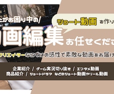 新規参入につきサービス価格で提供します 編集にお困りのショート・リール動画なんでも編集します！
