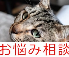 1日チャットします イメージ1