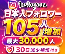 インスタ 日本人 フォロワー105人増やします イメージ1