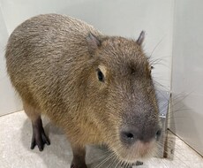 お話し聞きます イメージ1