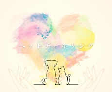 60分チャット♡アニマルリーディングします 愛するペットちゃんからのメッセージをお話している様にお届け♡