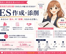 そのまま提出でOK！魅力を引き出すESを作成します イメージ1