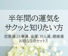 お得な5点セット！半年間の運気を鑑定します 恋愛運、仕事運、金運、対人運、健康運のお得な5点セット