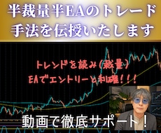 半裁量半EAのトレード手法を伝授いたします イメージ1