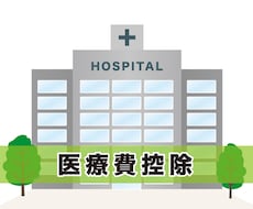 医療費控除の明細書をExcelにデータ入力承ります イメージ1