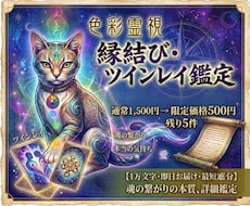 限定価格　この縁は本物？ツインレイを即日占います イメージ1