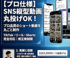 プロ品質のショート動画を丸ごと制作します イメージ1