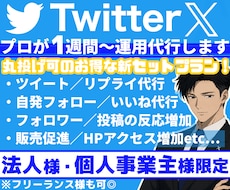 法人様・個人事業主様限定！Ｘを１週間～運用します イメージ1