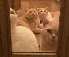 お悩みのご相談をお聞きします イメージ1