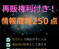 再販OK！250種の情報商材セットを全て提供します リライト・再配布自由！情報商材250点まとめて提供