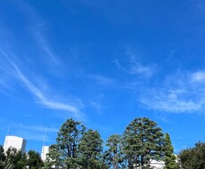 愚痴のはけ口になり心の悩み相談ます イメージ1