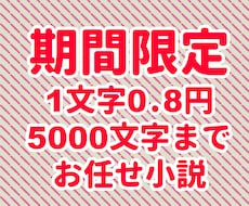 1文字0.8円おまかせ小説お受けします 2025年3月31日までの期間限定！全てお任せプランです！