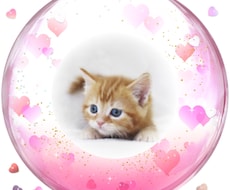 動物さん達のお言葉をお届けいたします 何を考えているの？そうだったんだ！少しだけ覗いてみませんか♡