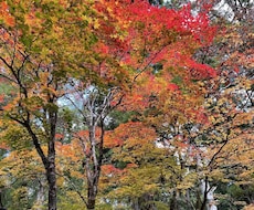 怒りにフォーカスして解消のお手伝いをします イメージ1
