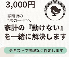 家計診断は終わったのに動けない…を一緒に解決します イメージ1
