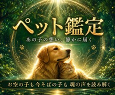 天啓ペット霊視 | 愛するペット様の想いを伝えます 大切な我が子の言葉にできないあなたの願いを受け取りお伝えする