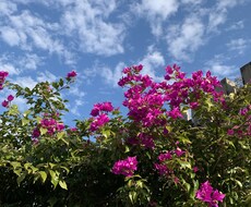 お相手の気持ちを霊視します お相手の気持ちを知り良い流れに意識をもっていきましょう