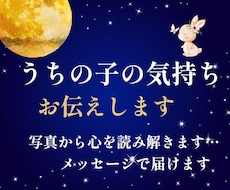 うちの子の気持ち、お伝えします お写真からその子の想いを、心を込めたメッセージでお届けします