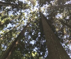あなたの、ありのままで良いんだよ◎が見つけられます イメージ1