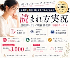 ES・履歴書/ 職務経歴書を人事目線から添削します イメージ1