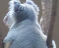 率直に感じた良いところ（ご自身作品等）お伝えします 自信がおありのものから、不安な物何でも！（性的なものは不可）