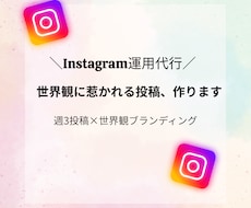 Instagram週3投稿｜SNS運用代行します 企画〜投稿まで丸投げOK！あなたの世界観を届けます