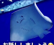 ワンコイン！30分愚痴.雑談などお話相手になります イメージ1