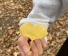 恋の助けになります イメージ1
