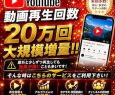 YouTube再生回数を20万回！？増やします こんなに増やせる！！単価が嬉しいお手頃お値段！