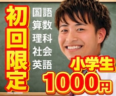 初回限定！小学生！中学受験！オンライン家庭教師ます 180名以上！国語！算数！理科！社会！英語！