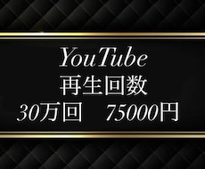急上昇・関連動画・おすすめ枠⭐️３０万回PRします 振り分け可４万回～⭐保証３６５日⭐大型配信でトレンド入りも♪