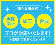 プロ対応★様々な用途の画像修正/加工/合成します イメージ1
