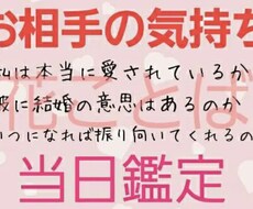 24時間以内に鑑定致します 気になっている事のお答えを、鑑定してお伝え致します。