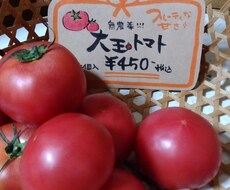 筆文字POPプライスカードをお書きします イメージ1