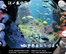 ちょっとしたチラシ・フライヤー制作します イメージ1